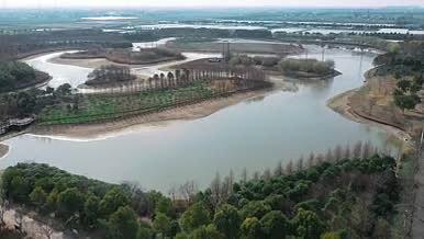 上海松江茂港湿地公园航拍视频的预览图